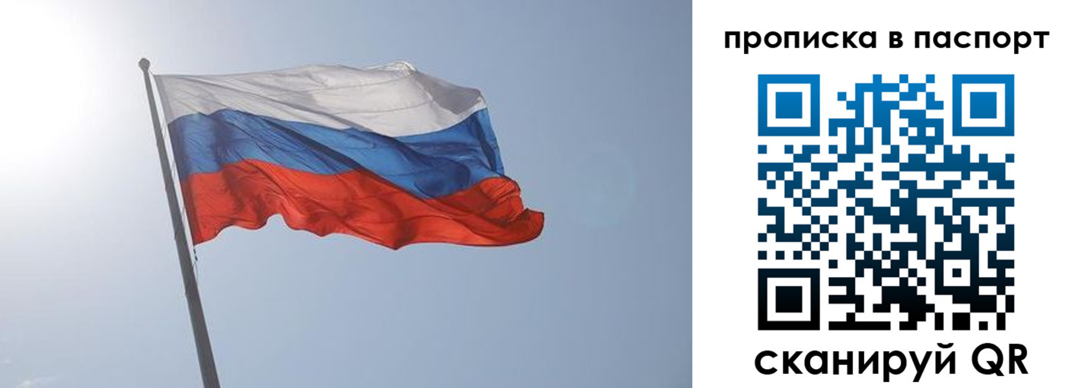 прописка для школы в Кольчугино